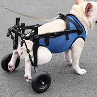 寵物狗狗輪椅車腿殘受傷助行器貓康復代步小推車可上廁所輔助走路