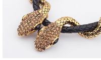 國際媒體　雙蛇　歐美項鍊　　簡約百搭　場合項鍊　雙蛇 鑽石 蛇鏈 非ZARA