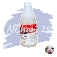Ostech Hypoallergenic shampoo ขนาด 1,000 ml แชมพูสำหรับสุนัขแพ้ง่าย คัน ผิวแห้ง ขนร่วง