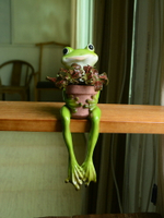 真自在創意青蛙多肉花盆田園家居裝飾品樹脂盆栽送男女生朋友禮物
