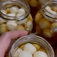 acar bawang putih tunggal premium