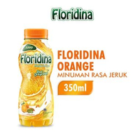 Floridina Minuman Real Orange 350 ml