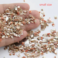 100g/lot Natural Crushed Abalone Shell Mother of Pearl shell for DIY Jewelry Crushed Shell MOP Pearl shell for fake nails