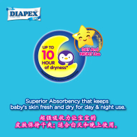 Diapex Easy Mega Pack L (56 unit + 4 unit) x 4 Paket (Karton)