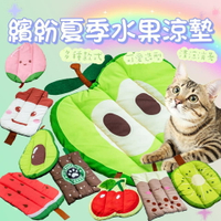 『台灣x現貨秒出』繽紛水果飲料造型寵物墊 貓咪墊 狗狗墊 寵物睡墊 寵物墊 寵物窩