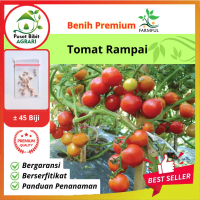 FARMFUL Benih Sayuran Tomat Cherry Rampai Unggul
