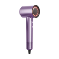 負離子速乾風筒推薦｜1600W｜LED｜110000RPM｜20m/s｜17m/s｜2段｜4段｜負離子風筒｜高速風筒｜護髮風筒｜摺疊風筒｜電風筒｜旅行風筒｜護髮速乾｜家用風筒【香港行貨】（紫色） #C