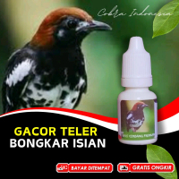 Vitamin Burung Anis Kembang