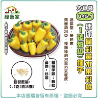【綠藝家】大包裝G45-1.迷你晶彩黃水果彩椒(1號甜椒)種子0.2克(約35顆)