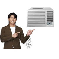 【TECO 東元】4-5坪 R32一級變頻冷暖右吹窗型冷氣(MW28IHR2)