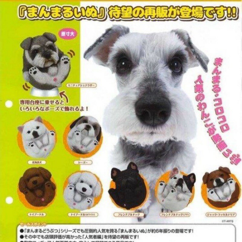 扭蛋圓圓可愛動物的價格推薦- 2022年10月| 比價比個夠BigGo
