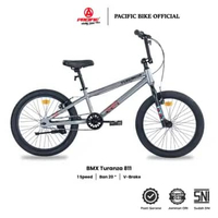 Pacific Sepeda BMX Anak dan Remaja Turanza 811 Ukuran Ban 20 Silver