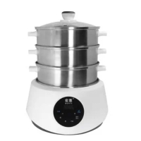 Automatic Multi-functional New Arrival Custom Design Stainless Steel Electric Food Steamer Electric Steam Cooker