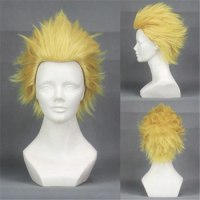 Archer Gilgamesh Cosplay Wig Fate/stay Night Golden Fluffy Short Heat-resistant Hair Fate/zero Anime Costume Role Play Wigs