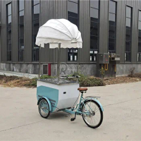 Customized 3 Wheel Cargo Trike Mobile Ice Cream Bike for Sale Europe Electric Freezer Bike Popsicle Vending Tricycle