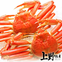 【上野物產】8隻 北海道 松葉蟹(235-265g±10%/隻 螃蟹/蟹腳/海鮮/中管/蟹腿肉)