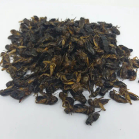 JANGKRIK KERING 1KG PAKAN MAKANAN IKAN BURUNG REPTIL HAMSTER