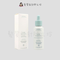 立坽『免沖洗調理』肯夢公司貨 AVEDA 蘊活淨瑕頭皮適應原(淨化)50ml HS03 HS04