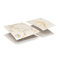 【SONY 索尼】PS5 Pro 遊戲主機護蓋(《羊蹄山戰鬼》黃金限量版)