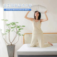 涼感記憶床墊 單人加大 10公分厚度(藍晶靈記憶慢回彈、床墊、單人床墊)