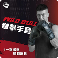 【WILDBULL】拳擊手套(WILDBULL  拳擊手 格鬥 拳套 包裹 護墊 拳擊)