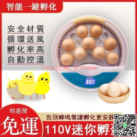 【千羽家居】小型孵蛋機 迷你智能孵化器 雞鴨鵝鴿子孵化器 全自動小雞孵化器 9枚家用款孵蛋器 雞蛋鴨蛋鵝蛋孵化箱