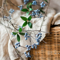 掬涵 藍色野莓藤仿真植物垂吊纏繞藤花藝設計造景裝飾空間藝術