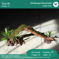 Hardscape Kayu Tenggelam_Hiasan Aquarium Aquascape Size M Jungle Model