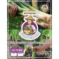 Bibit Premium Daun Bawang Prei Giant | Daun Bawang Prei Jumbo|Bibit Daun Bawang Jumbo|Benih Daun Baw
