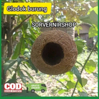 Sarang burung bulat sarang burung kenari lovebird parkit murai
