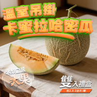 【GOZUII 果姬】苗栗卡蜜拉哈密瓜大果雙顆禮盒(脆甜水梨口感｜焦糖尾韻｜2.7斤±10%/顆｜410項農藥未檢出）
