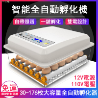 110V孵化機智能雞鴨鵝鴿子孵化器 大容量家用全自動孵蛋器（帶溫度控制）全自動小雞雞蛋孵化機 孵蛋器孵化箱y413