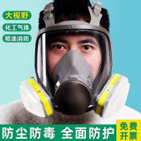 防毒面具 6800防毒面具 全面罩 噴漆化工打磨防粉塵 活性炭封閉式防塵面罩