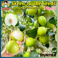 High Yield Crispy Green Jujube Seeds for Planting Fruits (Fast Growing 30 Seed) Fresh Jujube Fruit S