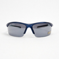 [C939-BL] 太陽眼鏡 單車墨鏡 護目鏡 抗UV400 運動型 台灣製 出清品 藍