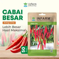 INFARM - Benih Cabai Merah Besar King Cha, Benih Unggul Cabe Merah Besar Bibit Super Cabe Merah