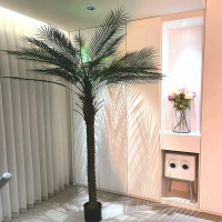 仿真椰子樹大型假樹熱帶海南裝飾盆景酒店造景仿真綠植假針葵椰樹