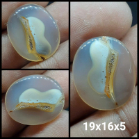 Natural Batu Akik Kristal Motif Gambar Gigi Geraham Orang Dewasa Antik