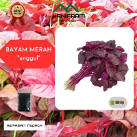 Benih bayam merah super