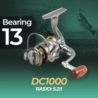 Reel Pancing Spinning Fishing 13 Ball Bearing