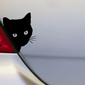 Harga F3 Kucing Terbaru Juli 2021 BigGo Indonesia - kucing garfield
hitam