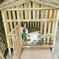 Termurah kandang kelinci dari bambu