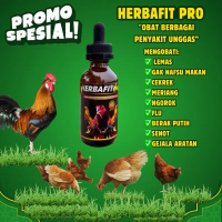 HERBAFIT PRO 60 ml - OBAT NGOROK FLU BERAK PUTIH LEMAS GAK NAFSU MAKAN SNOT GEJALA ARATAN obatayam a