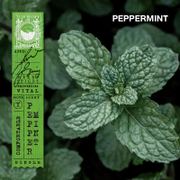 EVERYDAY & FRIENDS | Traditional Asian Perfume Sachet (Karmakamet) | ถุงหอมปรับอากาศ ถุงหอม ตู้เสื้อ