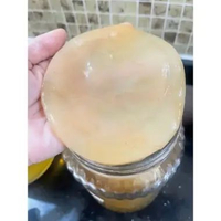 Teh Kombucha 250ml Tea Fermentasi Paket Scoby Dan Starter Minuman Probiotik Alami scooby&starter 250