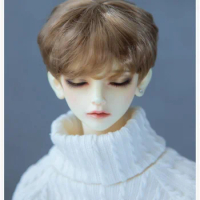 BJD /SD wig for 1/3, 1/4, 1/6, 1/8 boy Soft hair Multi-colored wig bjd Doll Accessories (no doll)