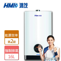 【HMK 鴻茂】強制排氣智能恆溫瓦斯熱水器 16L(H-1601-LPG/FE式-含基本安裝)