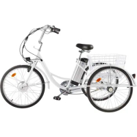Electric Tricycle for Adults,with Basket, 36V Removable Battery, 250W Brushless Motor, 3 Wheel Electric Bicycle Adults