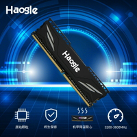 Haogle DDR4內存條 8G 16G 32G 22666MHz 3200MHz臺式機電腦內存【Snowbelle優選】