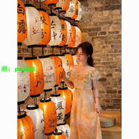 中式戶外防水24節氣燈籠定制古風市集裝飾新年連串掛飾發光國風